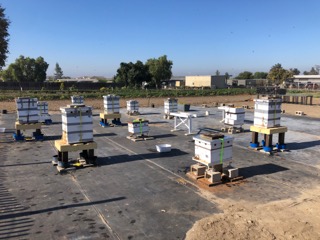 Shot of OCBT Apiary at South Coast Research and Education Center in Irvine, CA