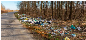 A plastic landscape is no place to forage