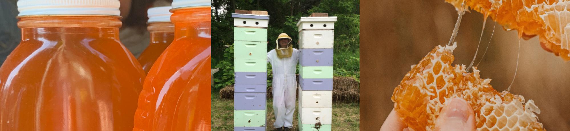 Honey in bottles, person in bee suit in between two beehives, comb honey